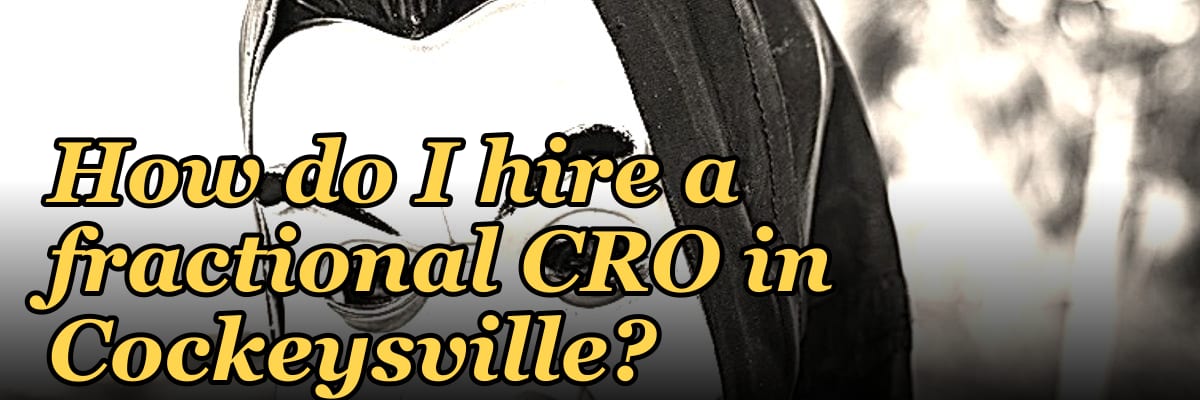 How do I hire a fractional CRO in Cockeysville?