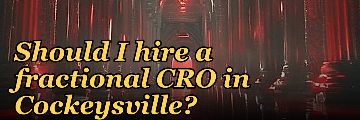 Should I hire a fractional CRO in Cockeysville?