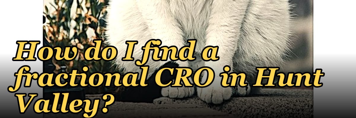 How do I find a fractional CRO in Hunt Valley?