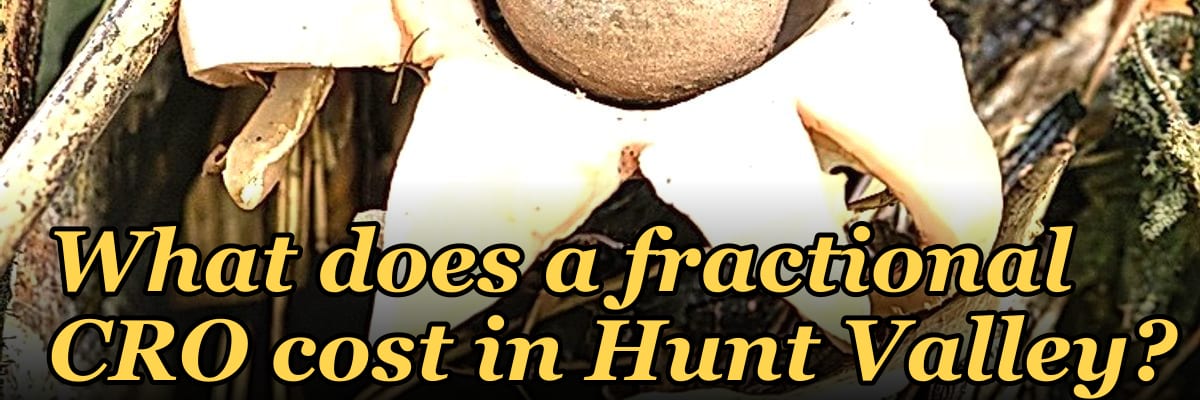 What does a fractional CRO cost in Hunt Valley?