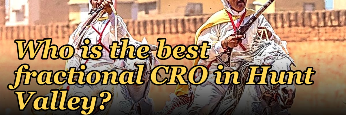 Who is the best fractional CRO in Hunt Valley?