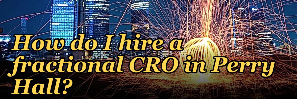 How do I hire a fractional CRO in Perry Hall?