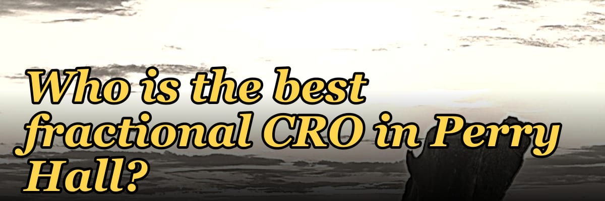 Who is the best fractional CRO in Perry Hall?
