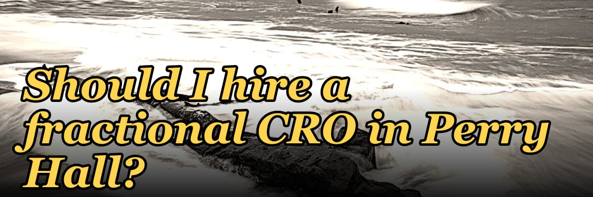 Should I hire a fractional CRO in Perry Hall?