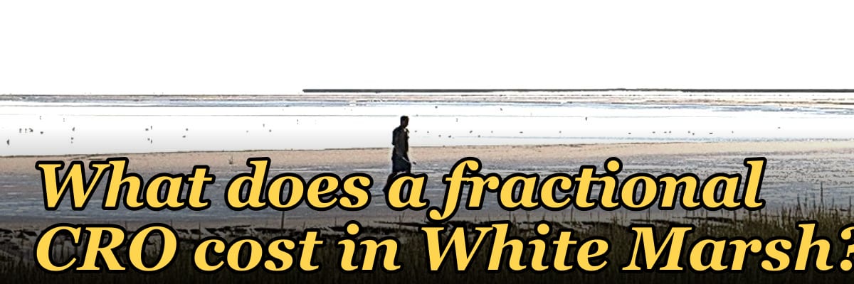What does a fractional CRO cost in White Marsh?