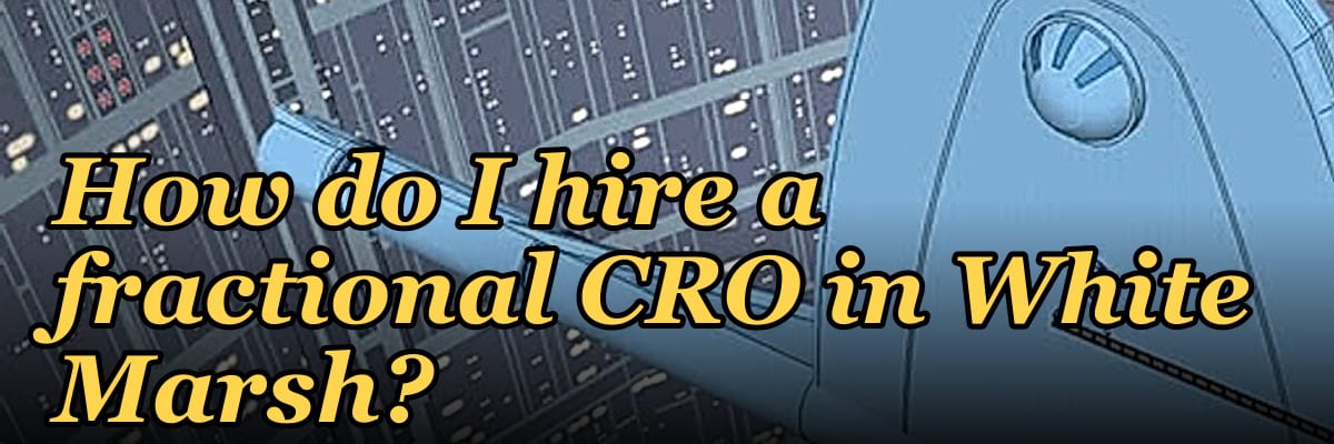 How do I hire a fractional CRO in White Marsh?