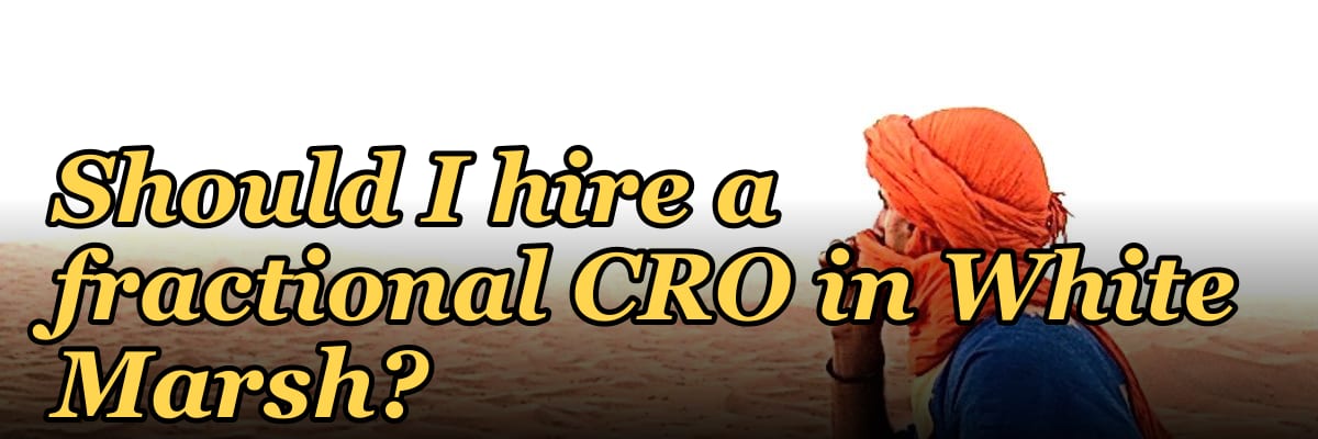 Should I hire a fractional CRO in White Marsh?