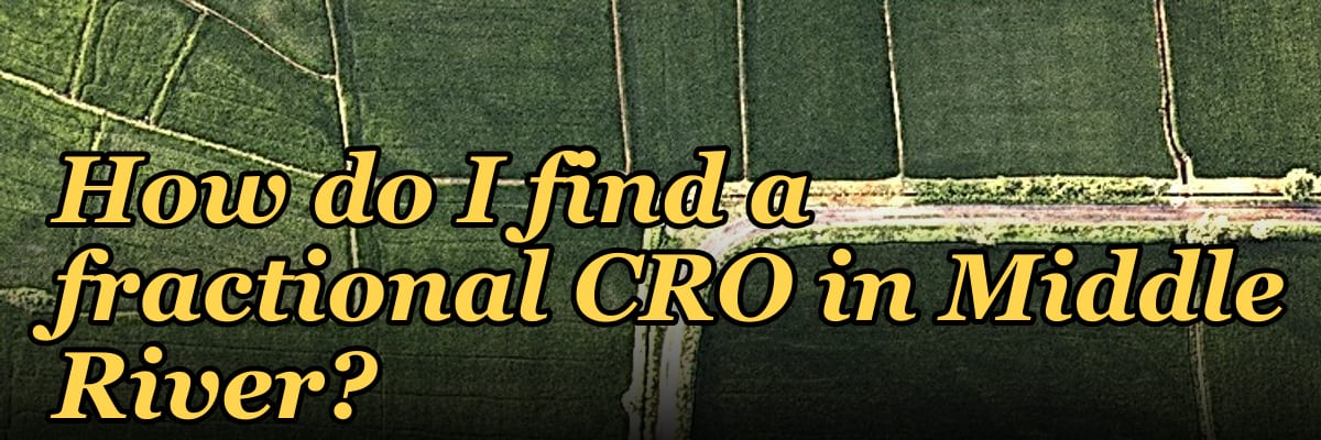 How do I find a fractional CRO in Middle River?