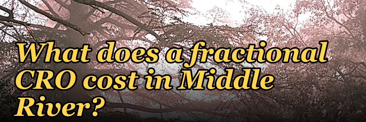 What does a fractional CRO cost in Middle River?