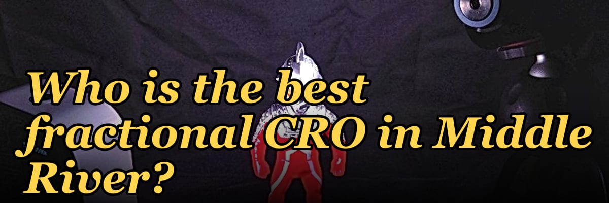 Who is the best fractional CRO in Middle River?