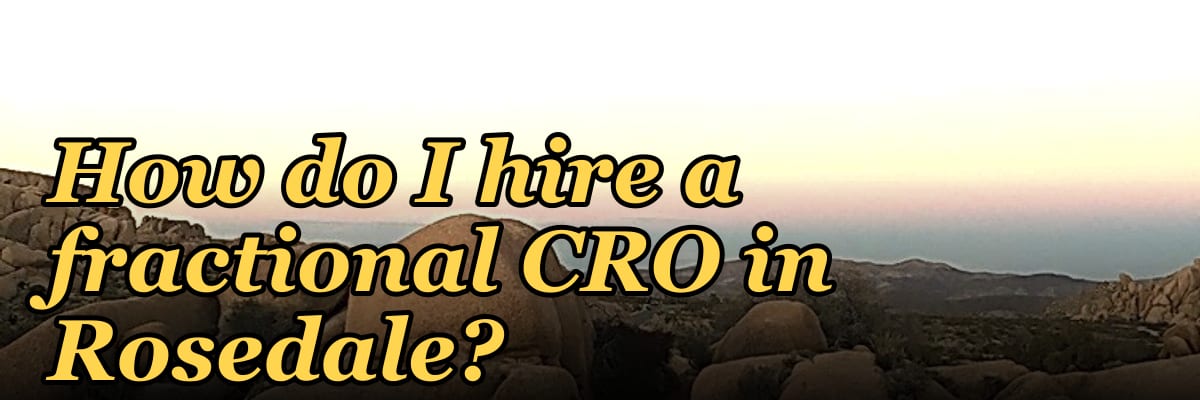 How do I hire a fractional CRO in Rosedale?