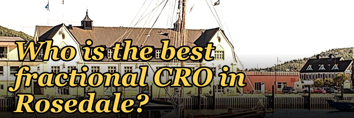 Who is the best fractional CRO in Rosedale?