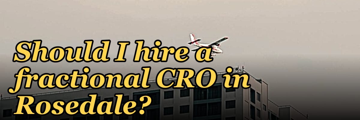 Should I hire a fractional CRO in Rosedale?