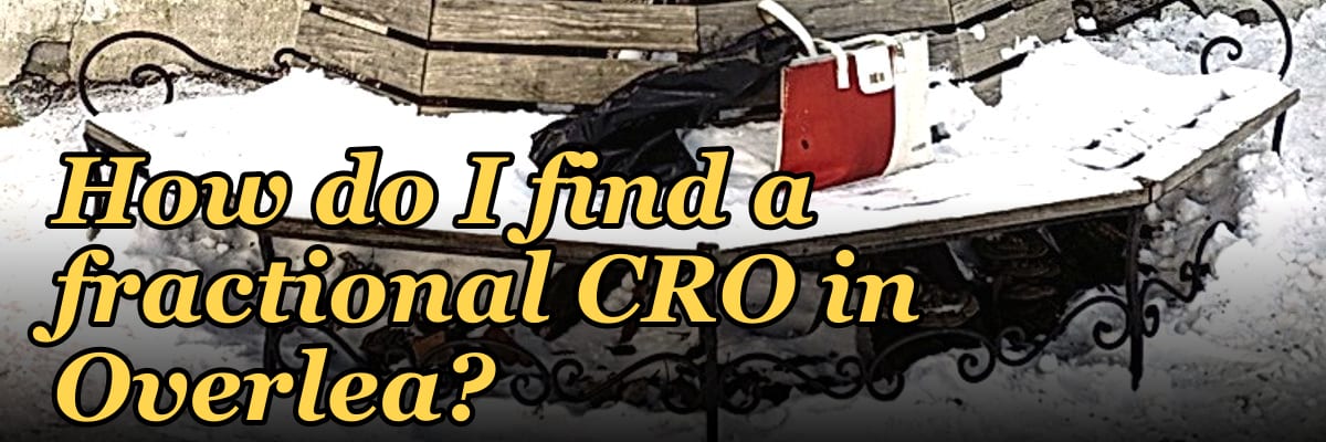 How do I find a fractional CRO in Overlea?