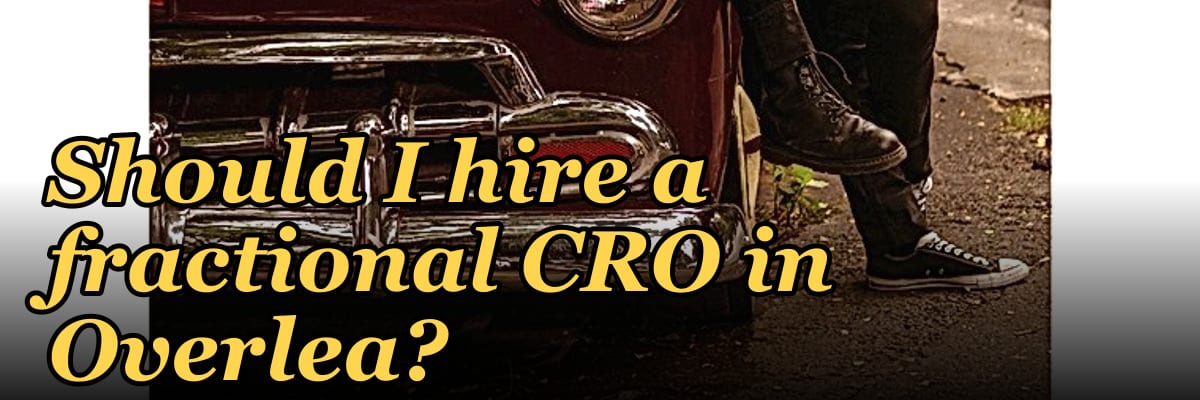 Should I hire a fractional CRO in Overlea?