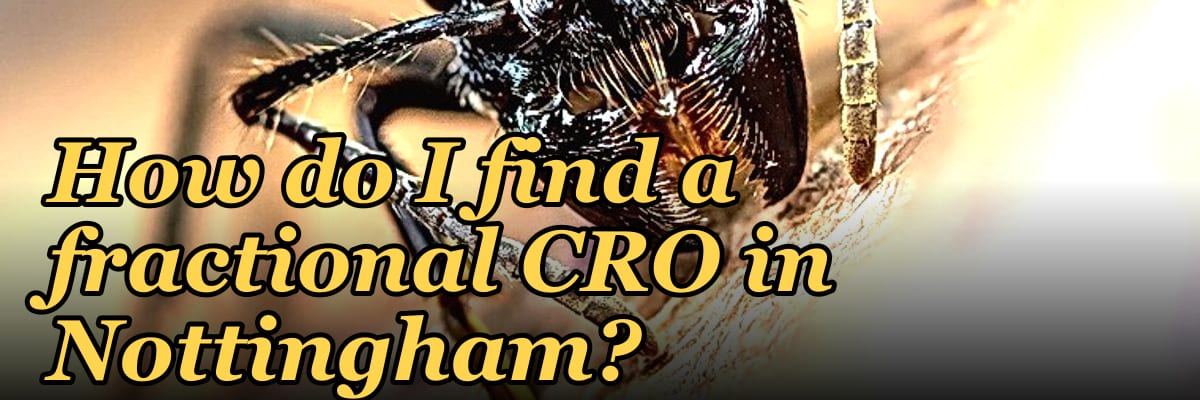 How do I find a fractional CRO in Nottingham?