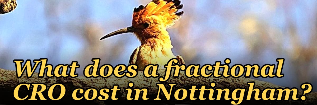 What does a fractional CRO cost in Nottingham?