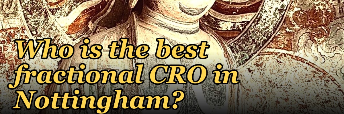 Who is the best fractional CRO in Nottingham?