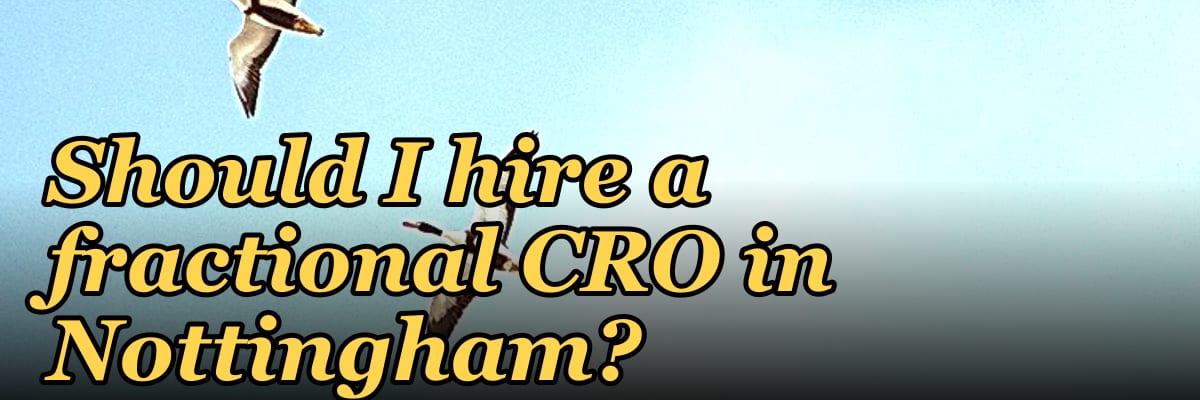 Should I hire a fractional CRO in Nottingham?