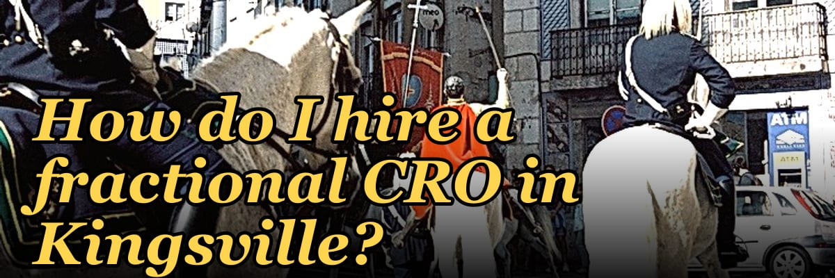 How do I hire a fractional CRO in Kingsville?