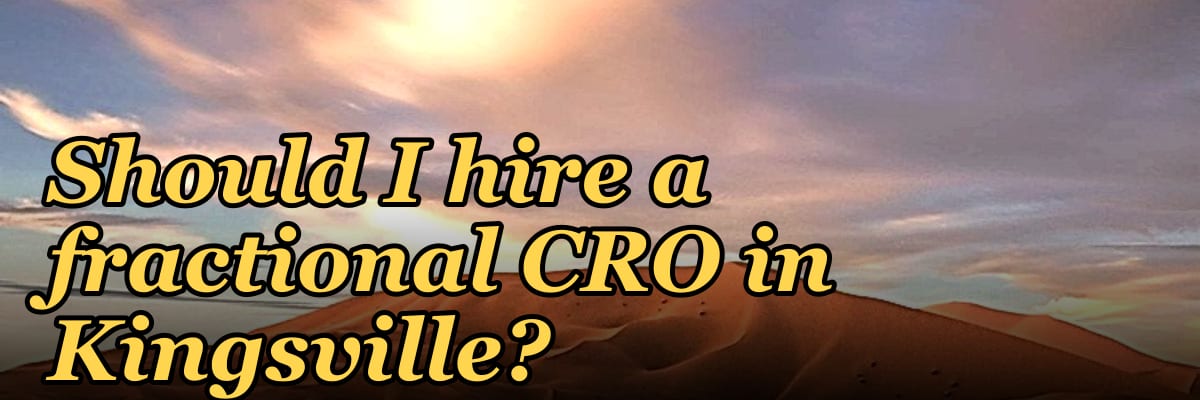 Should I hire a fractional CRO in Kingsville?