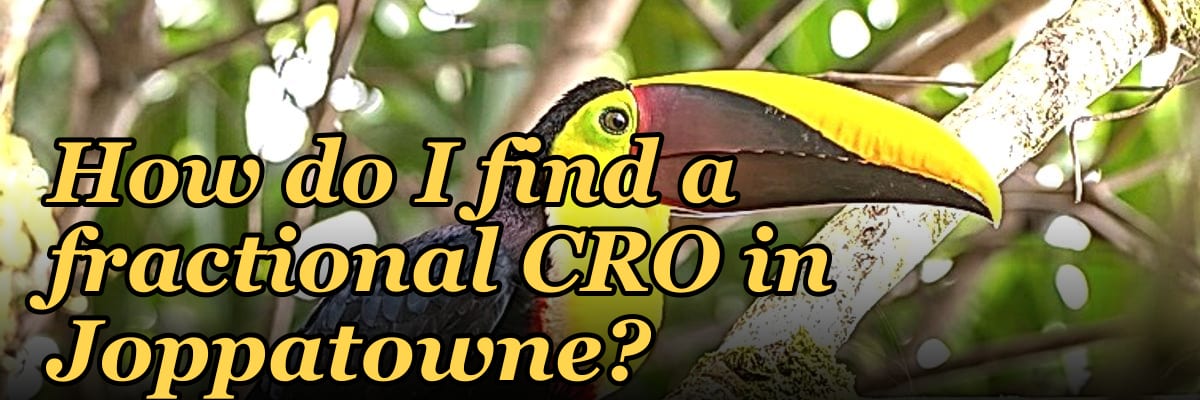 How do I find a fractional CRO in Joppatowne?