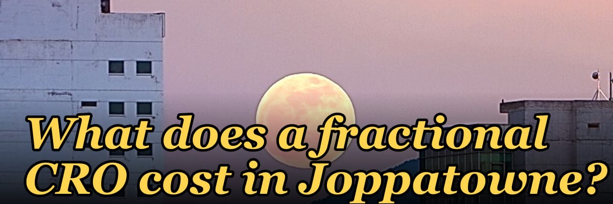What does a fractional CRO cost in Joppatowne?