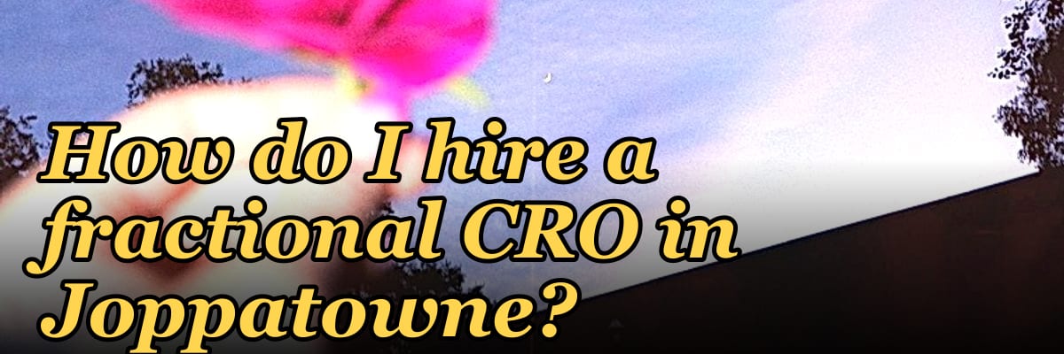 How do I hire a fractional CRO in Joppatowne?