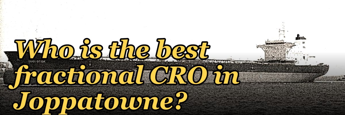 Who is the best fractional CRO in Joppatowne?