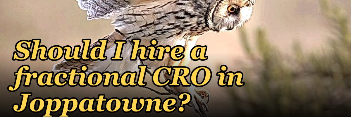Should I hire a fractional CRO in Joppatowne?