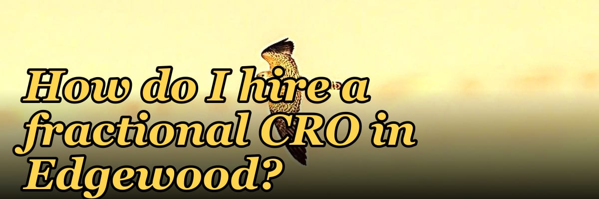 How do I hire a fractional CRO in Edgewood?
