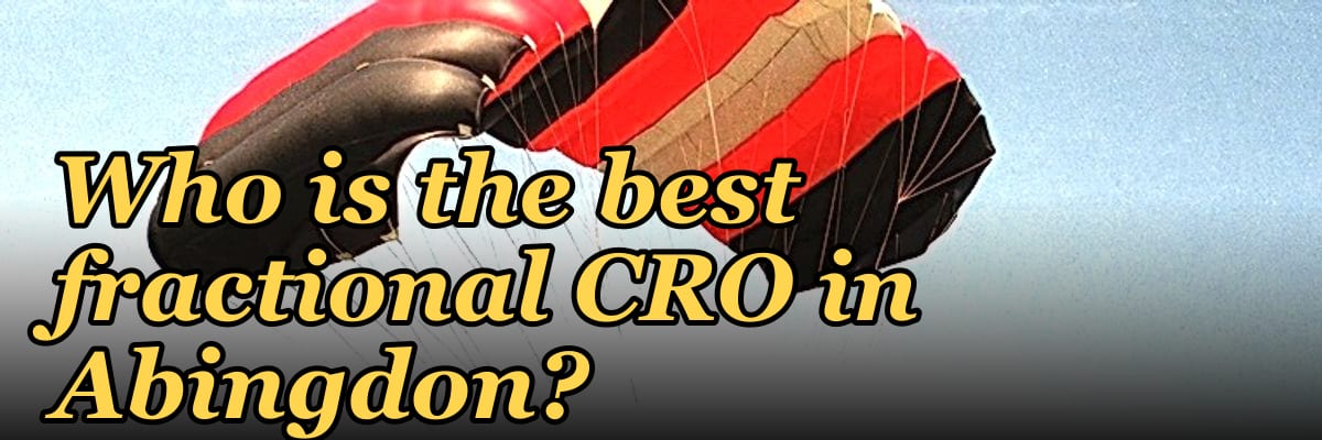 Who is the best fractional CRO in Abingdon?