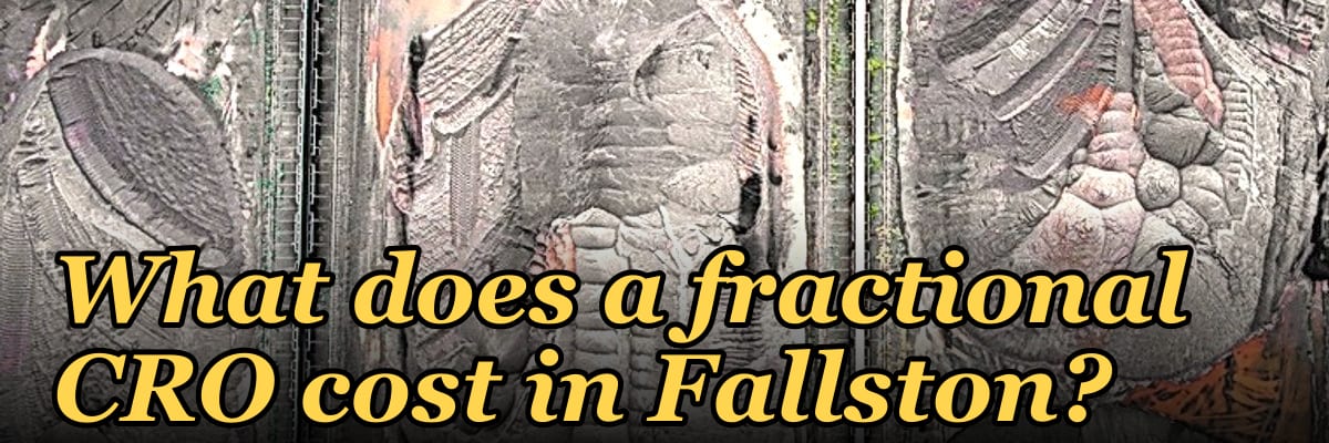 What does a fractional CRO cost in Fallston?