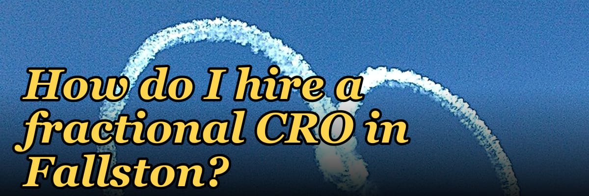 How do I hire a fractional CRO in Fallston?