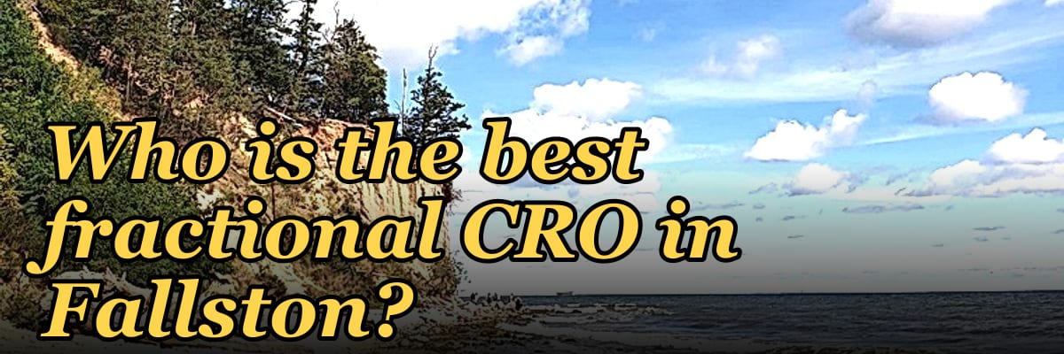 Who is the best fractional CRO in Fallston?
