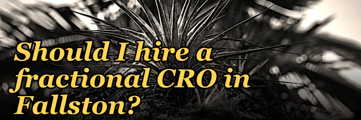 Should I hire a fractional CRO in Fallston?
