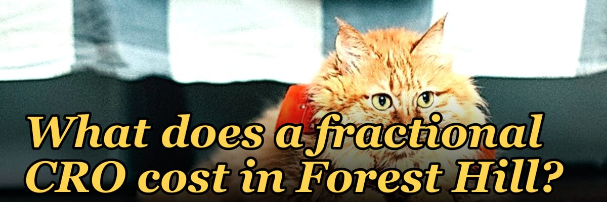 What does a fractional CRO cost in Forest Hill?