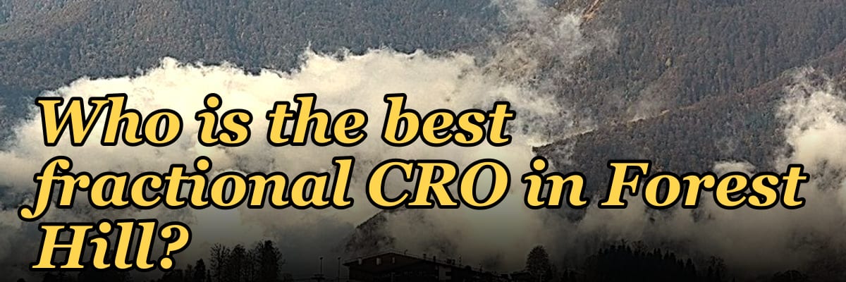 Who is the best fractional CRO in Forest Hill?