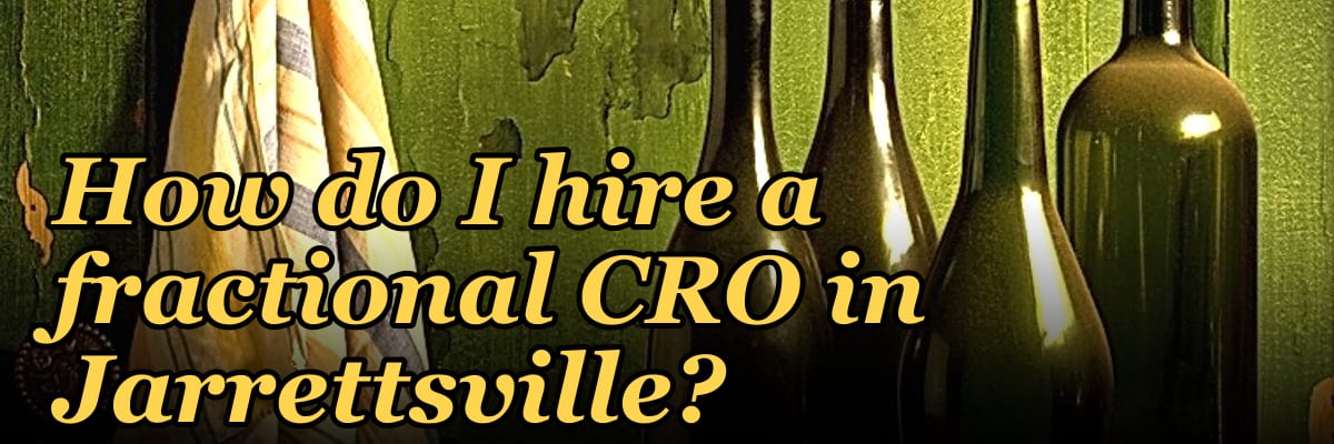 How do I hire a fractional CRO in Jarrettsville?