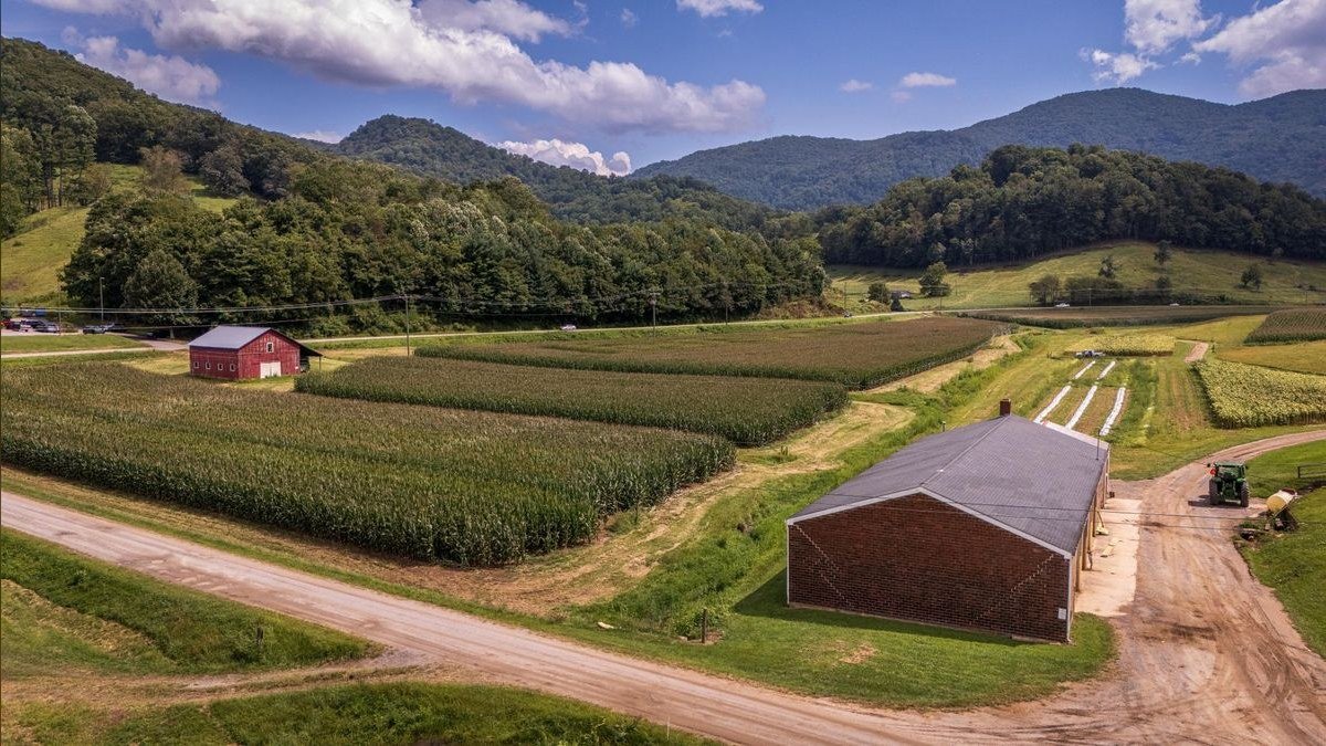 Should I hire a fractional CRO in Jarrettsville in 2027?