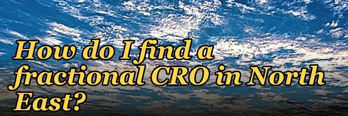 How do I find a fractional CRO in North East?