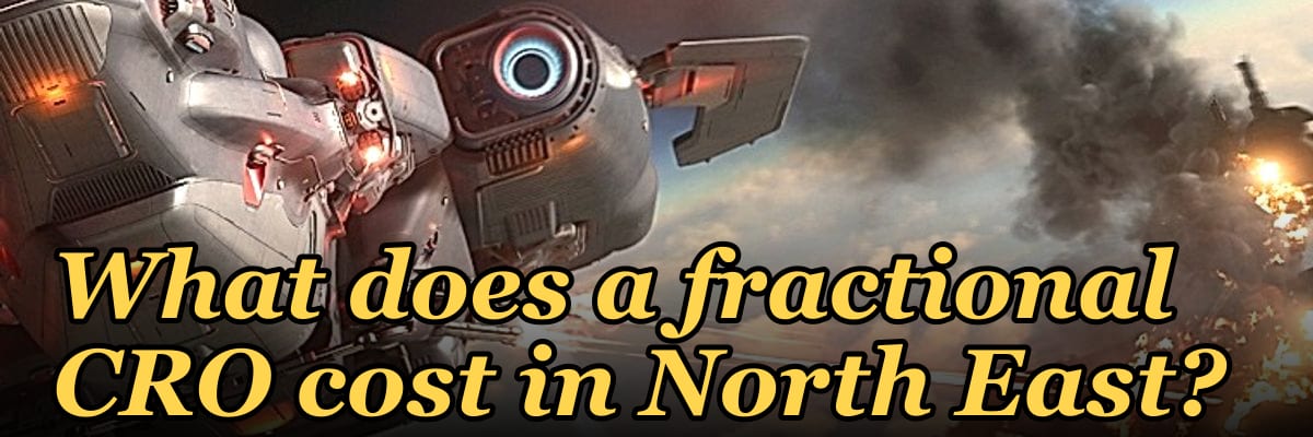 What does a fractional CRO cost in North East?