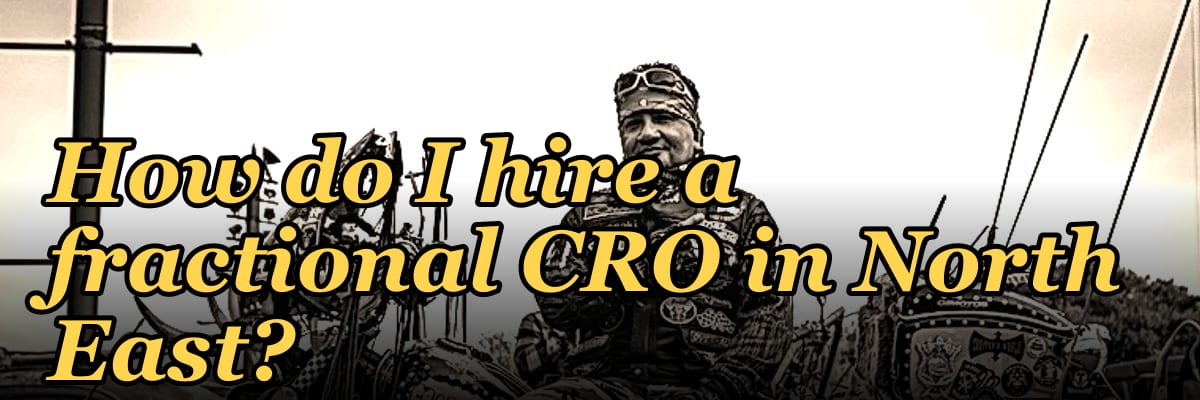 How do I hire a fractional CRO in North East?