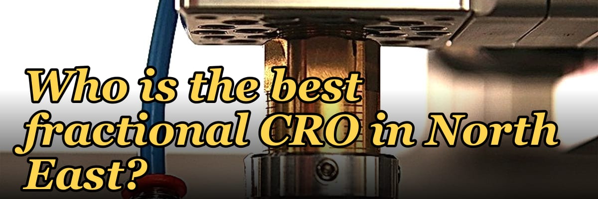 Who is the best fractional CRO in North East?