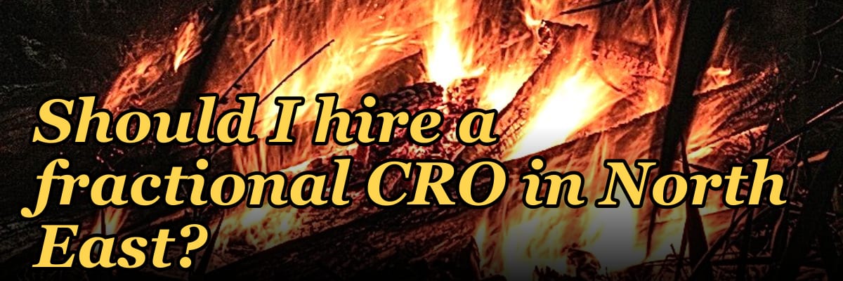 Should I hire a fractional CRO in North East?