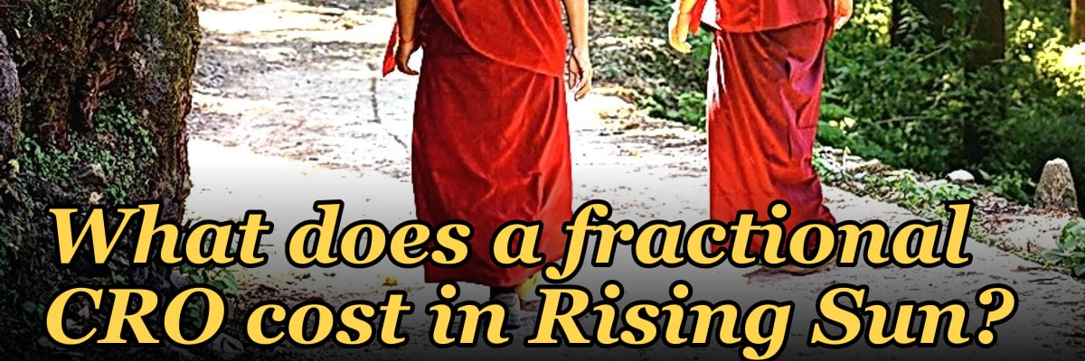 What does a fractional CRO cost in Rising Sun?