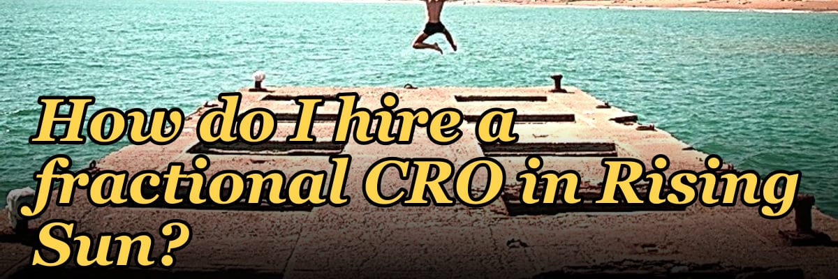 How do I hire a fractional CRO in Rising Sun?
