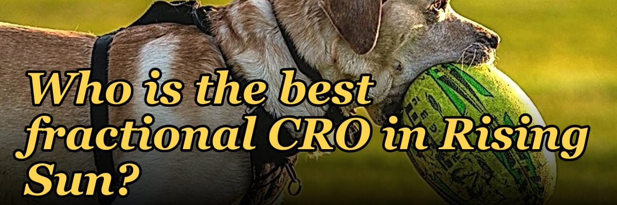 Who is the best fractional CRO in Rising Sun?