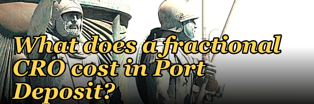What does a fractional CRO cost in Port Deposit?