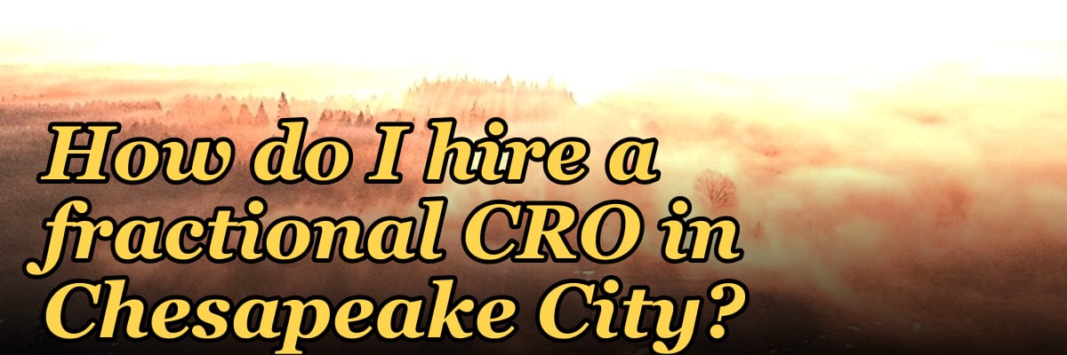 How do I hire a fractional CRO in Chesapeake City?